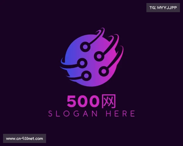 介绍500网